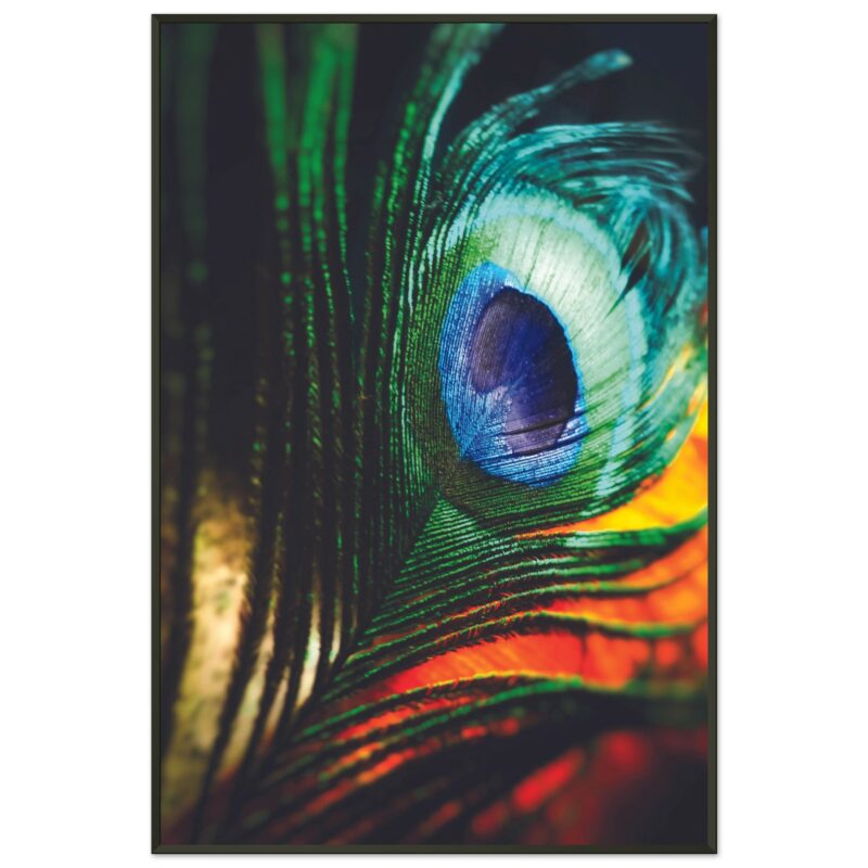 032dbf67-a98e-4d6b-8032-16e2d48ea5ee