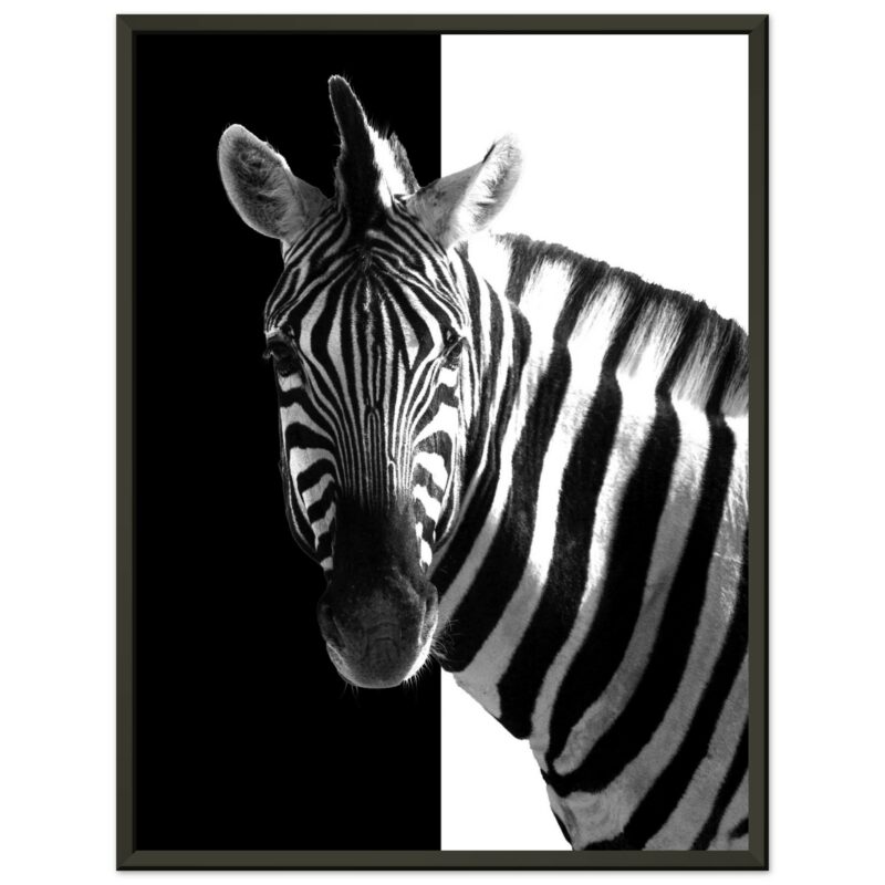 252a868c-e04a-4e01-beaa-6c535fb5c8b2
