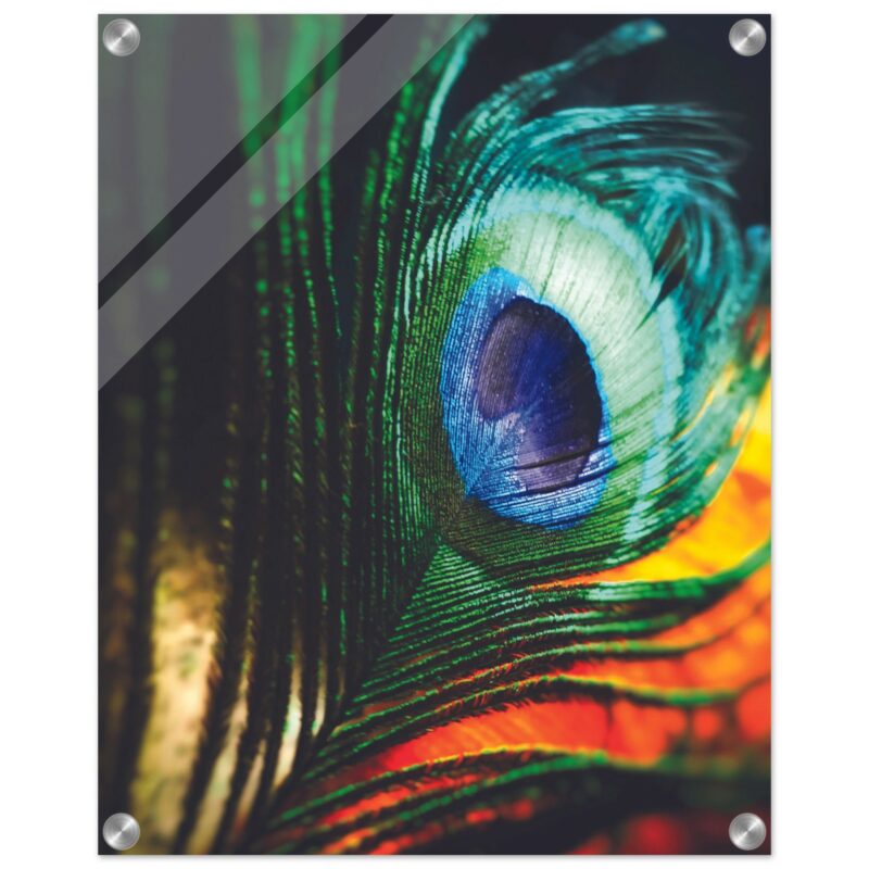 8f2d7790-3656-4625-ac08-6e4aa2155d9f