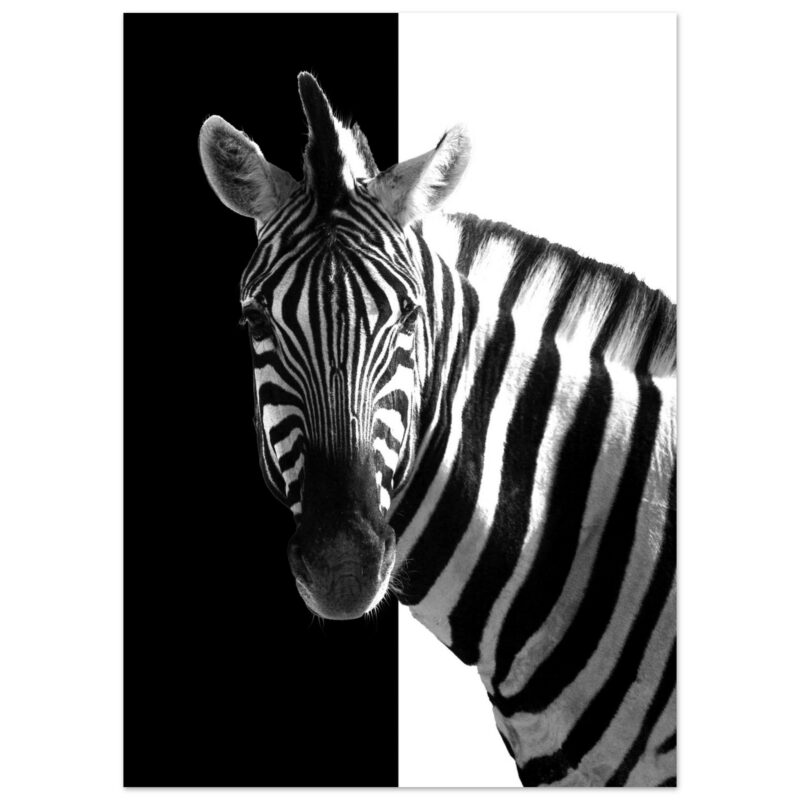 e2b452b4-4f31-4538-8e94-47d3ba633c2e