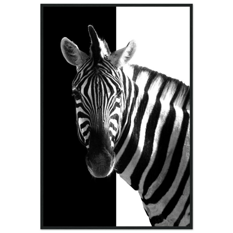 f38d93ff-36b8-4531-93b7-511b6f97bed8