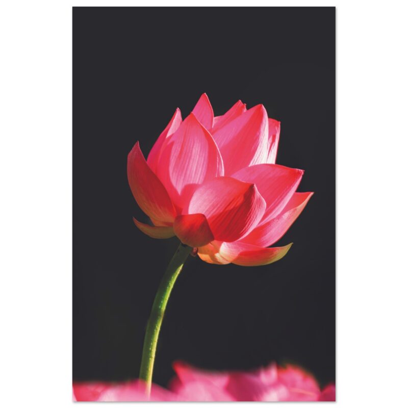 2b728fa0-e76c-45d9-86cb-338ba0724066