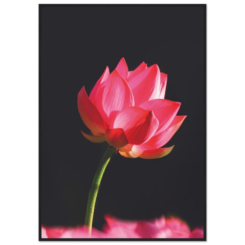 98c283b4-8cb3-4d7d-a146-add1bfb8e29f