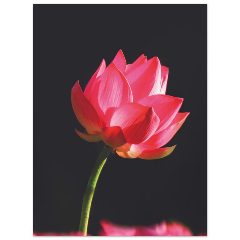 a9336d85-a560-4413-b68e-fba185df91ab