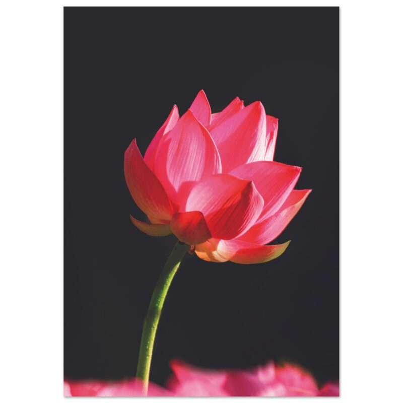bbdfa206-26fb-407f-a170-62b68c17b7b6