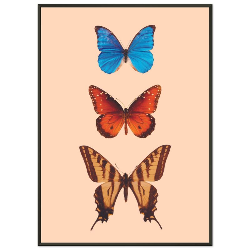 12a031ed-e8c6-4bd3-895b-ec875d786bf2