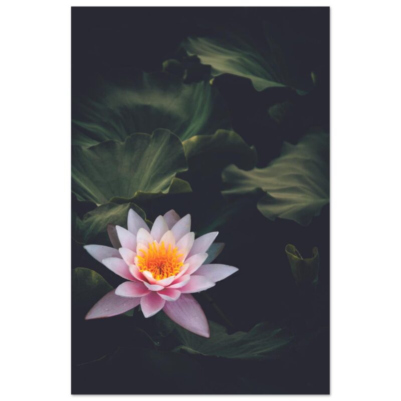 6c3d21dc-26c4-4599-8918-ca33fa236b0f