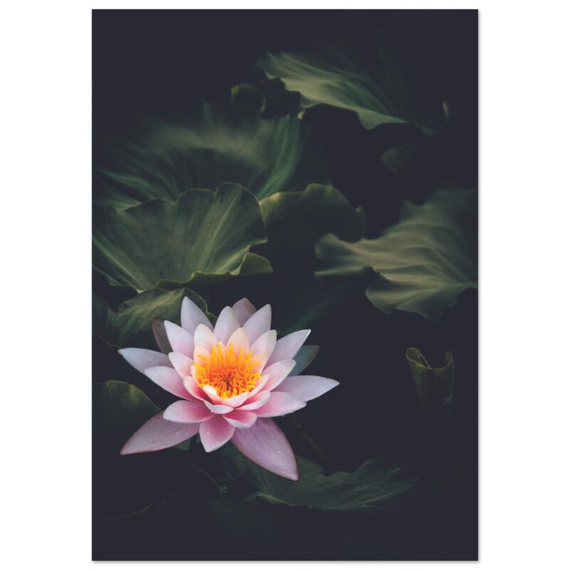 bd6e95fa-06f2-4bc0-9050-0f06f3104bc3