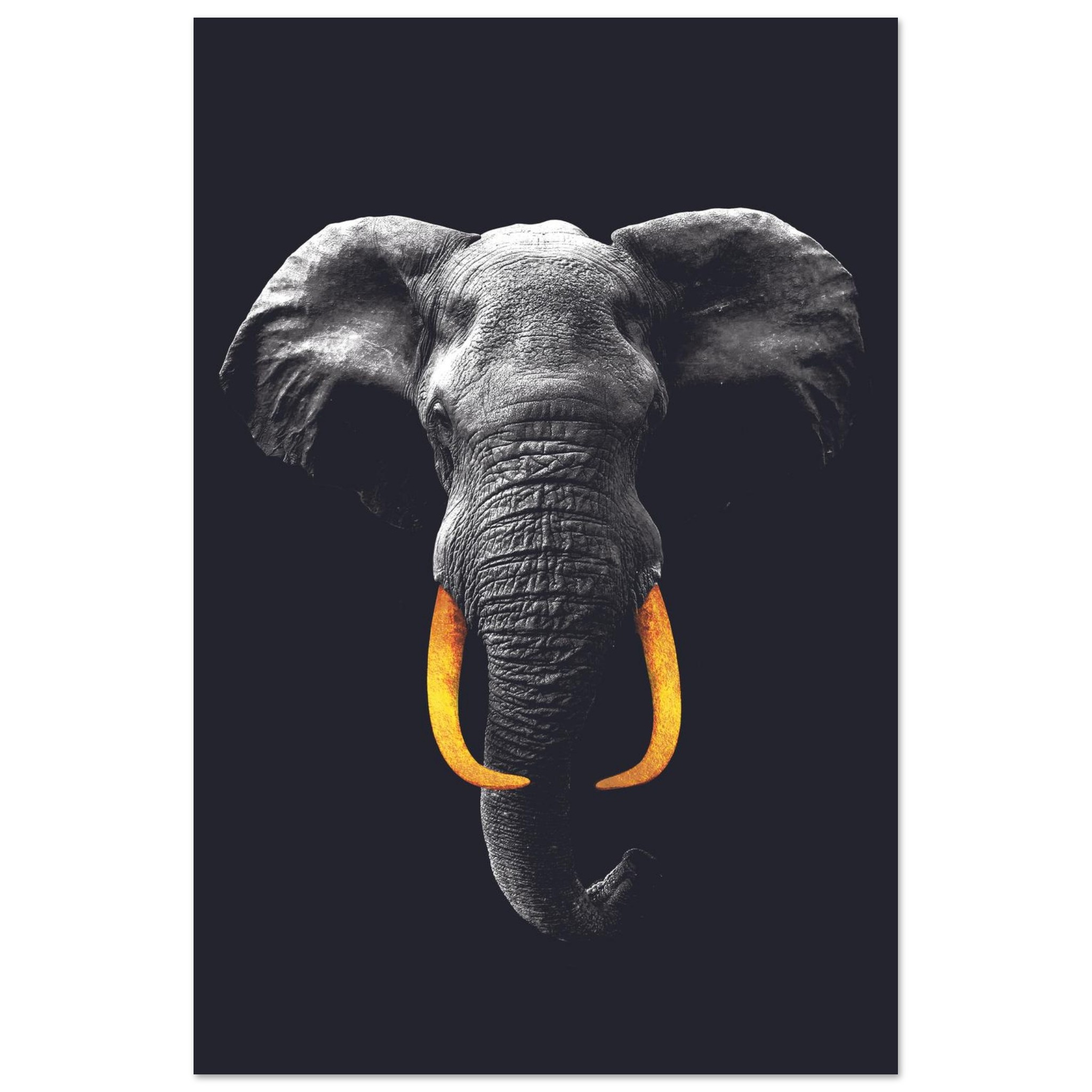 0815606e-5df4-48d1-b060-a4542a86259e