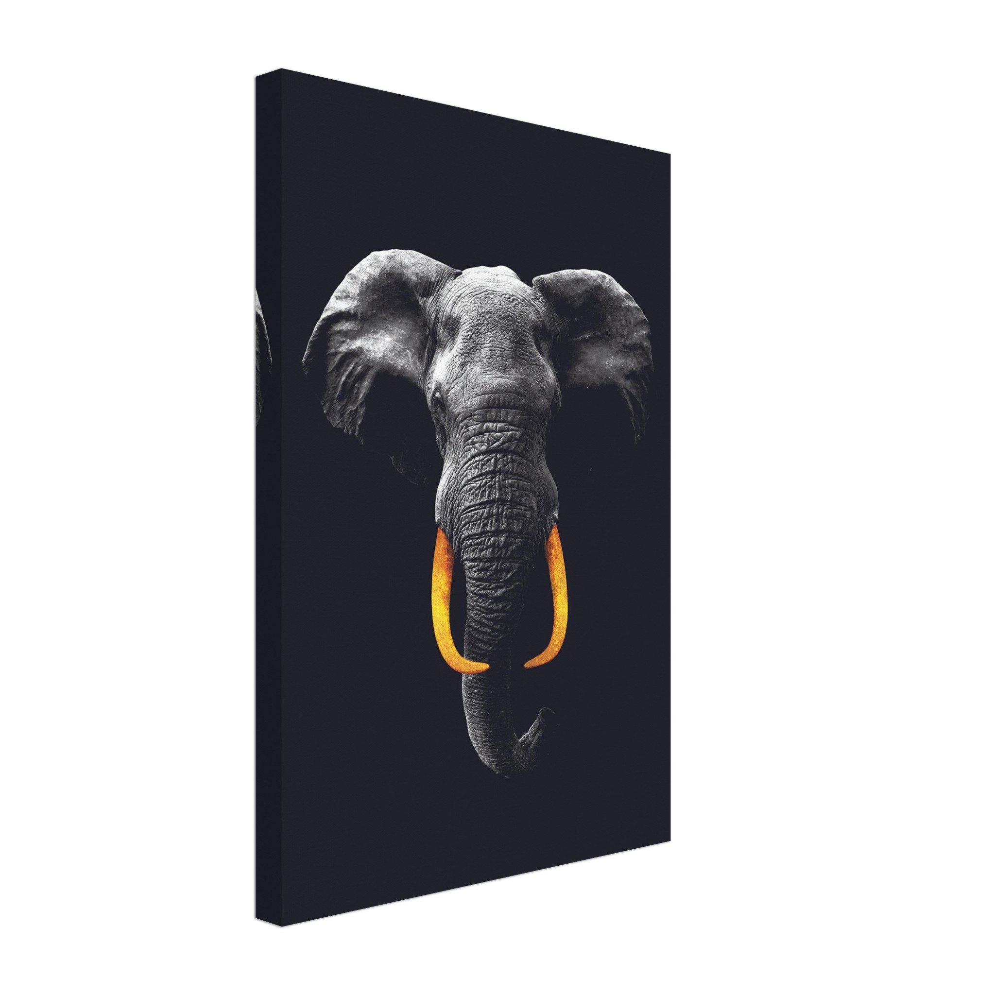 0cbfaeaa-145d-4e66-9166-c8ab3501feee