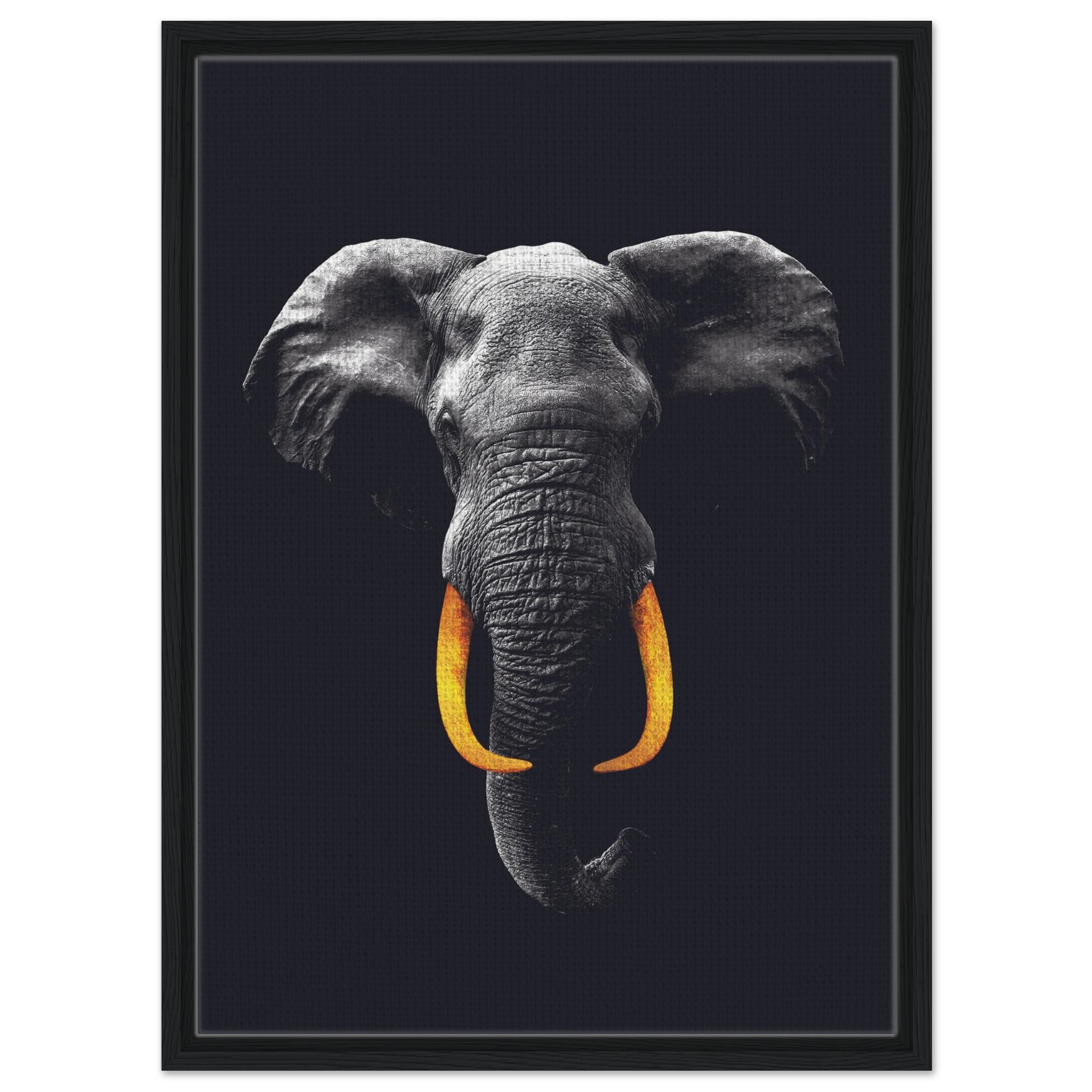 0e99ff22-78ef-4b58-9316-01d6204b011a