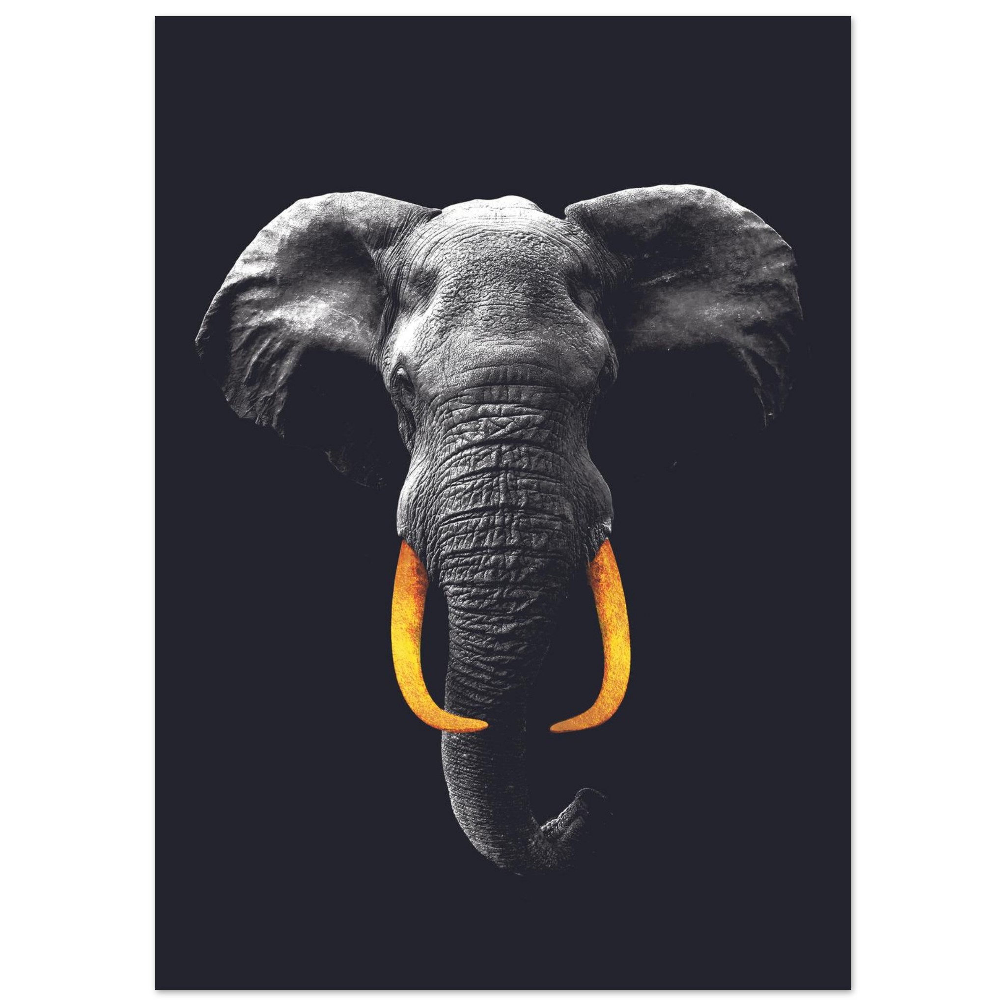 23cbc499-83bc-427f-a04e-79bd182f1be6