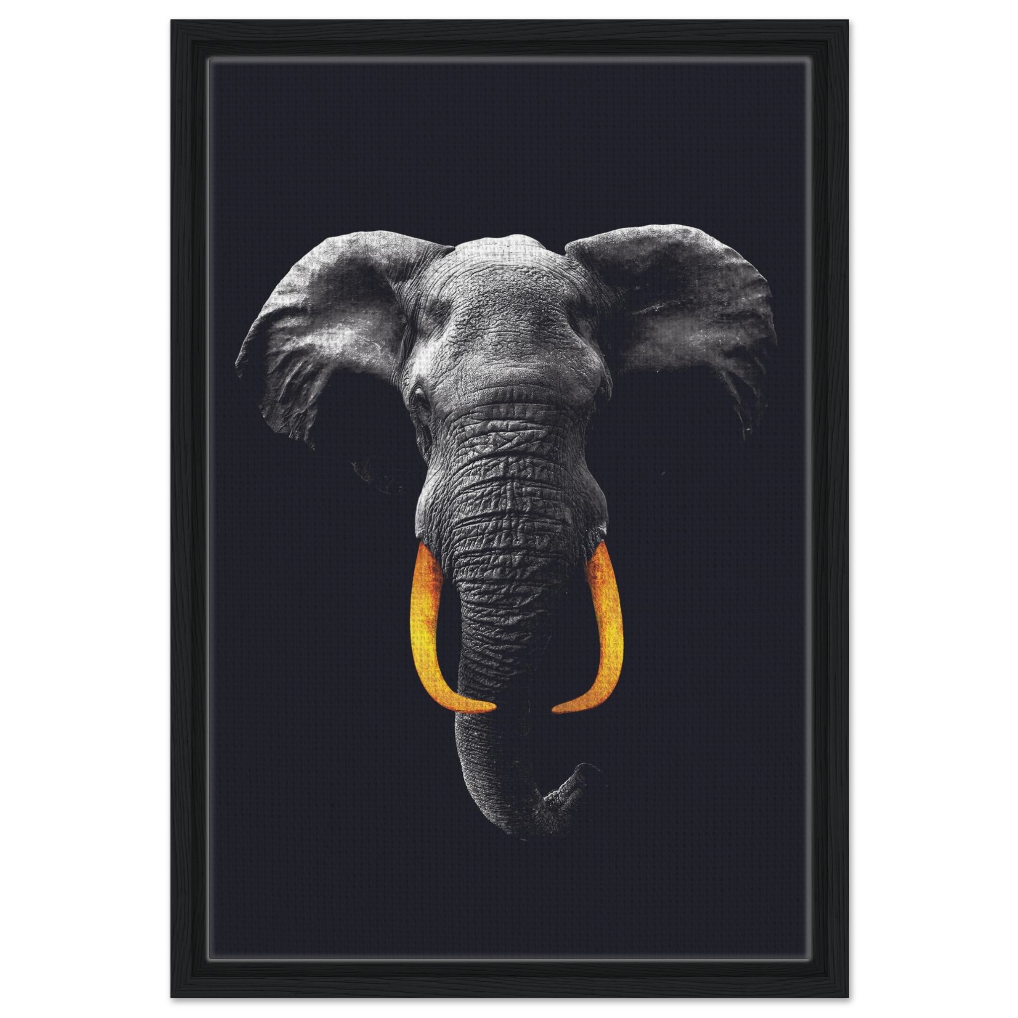 289b11ec-2fef-423b-b588-8896b864d3be