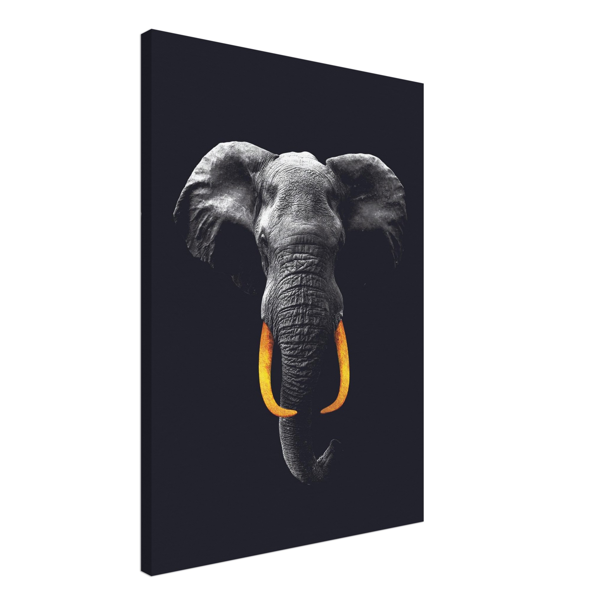 2ad04edc-caa1-4854-b8cd-f68b8ccca7e7