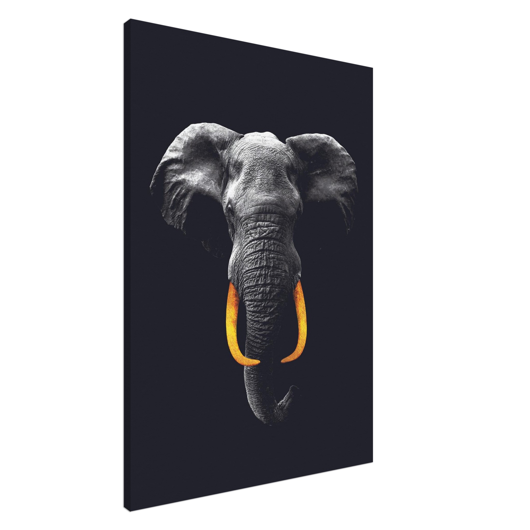 3603e37e-436f-473f-beb0-851a104a61fd