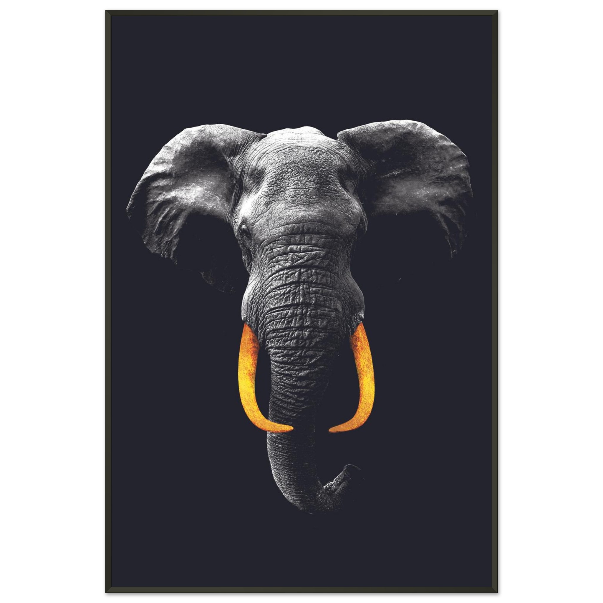 5f4eba55-e478-4a06-a5eb-1acd6dbc4ad4