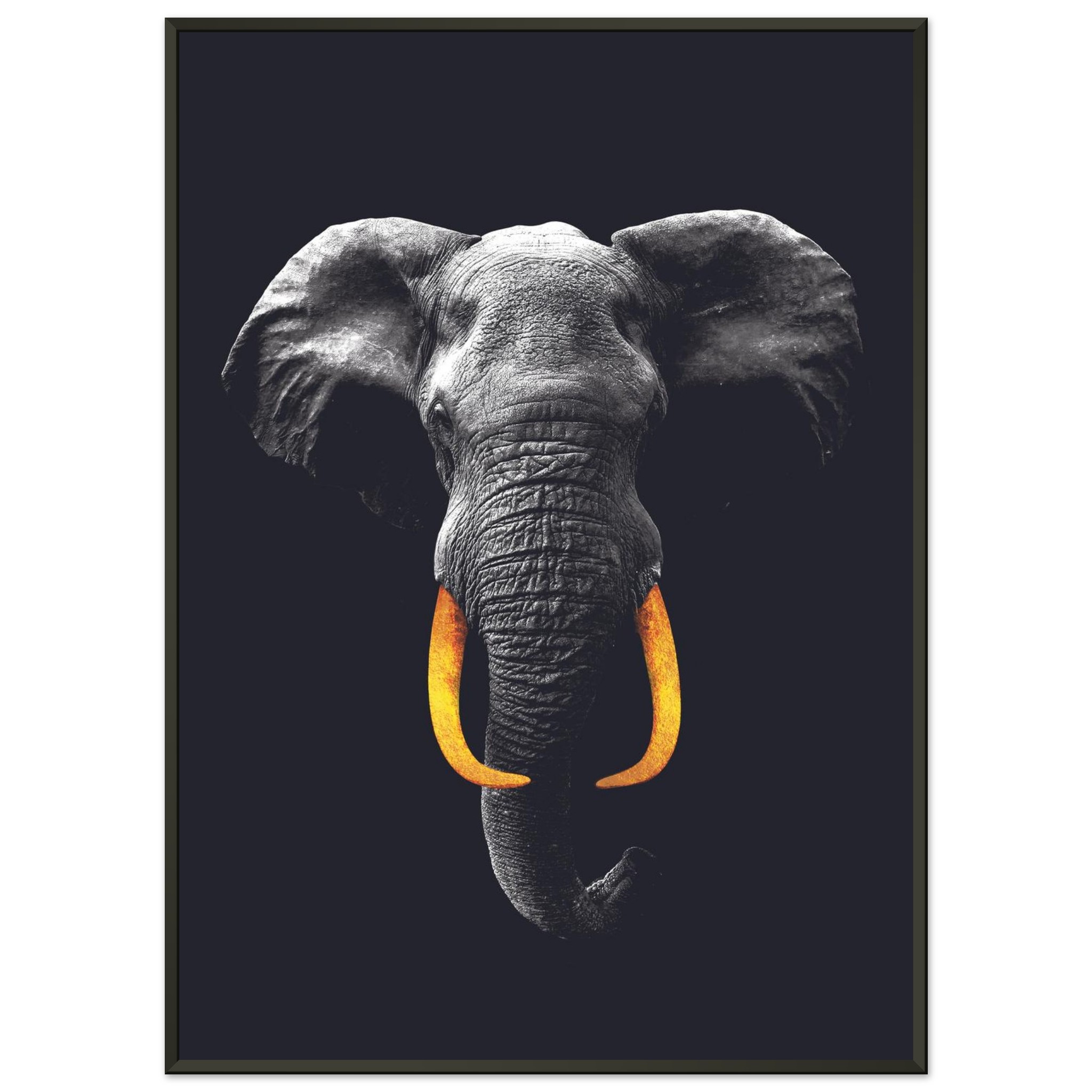 672b8533-68b9-476b-badd-de732766f632