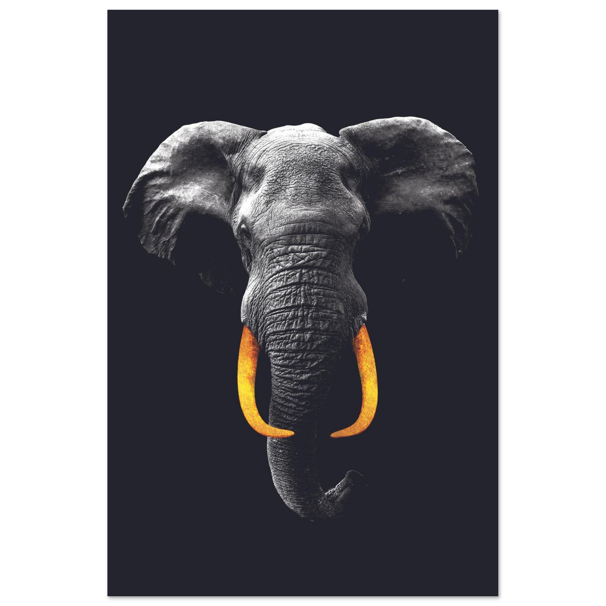 74e4b5d1-2978-4fc5-afdc-41365f6ae0c1