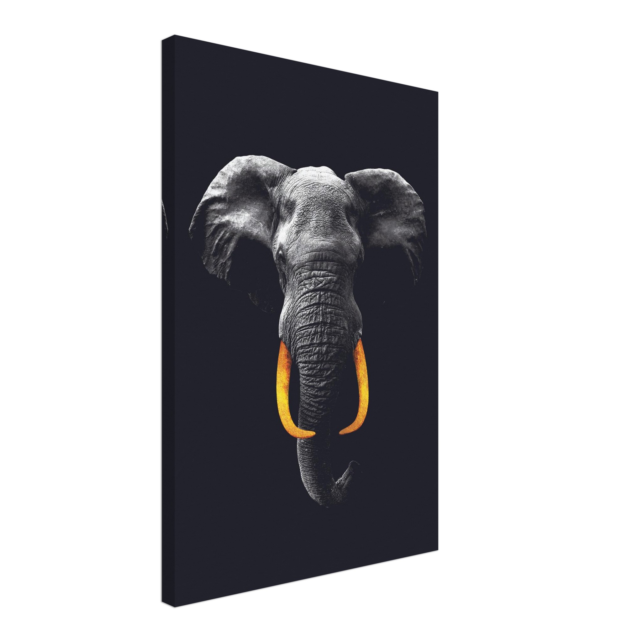 8ade07b3-131b-4b0d-8d03-188e3ab025e5