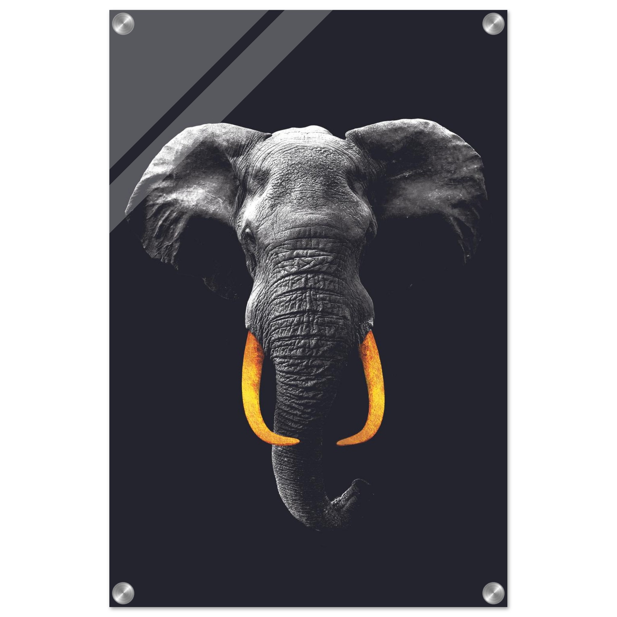 8db6fdde-1cfd-43c0-bc9e-1172d5f0f903