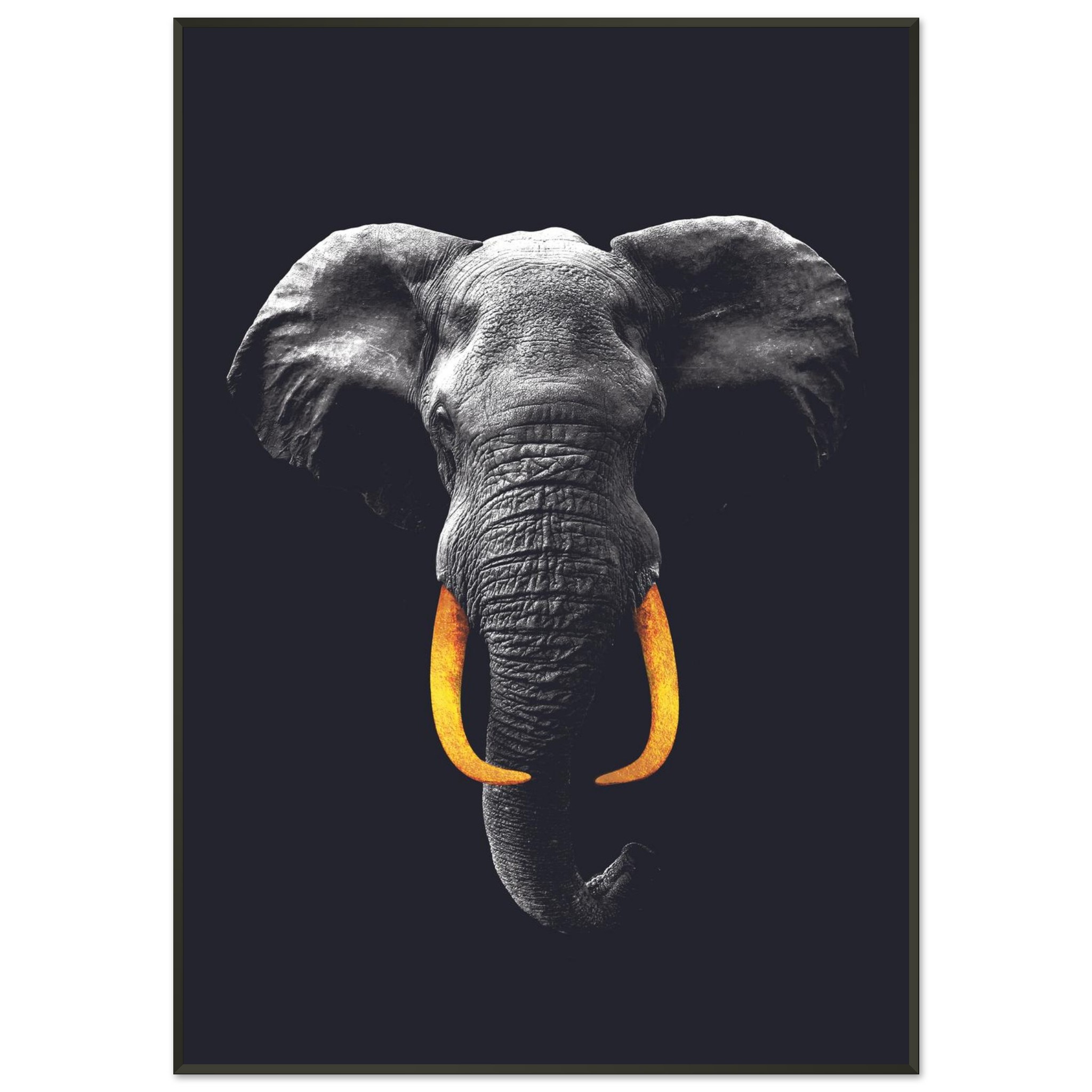 9bff14b5-d266-432a-a36c-9466e2c47132