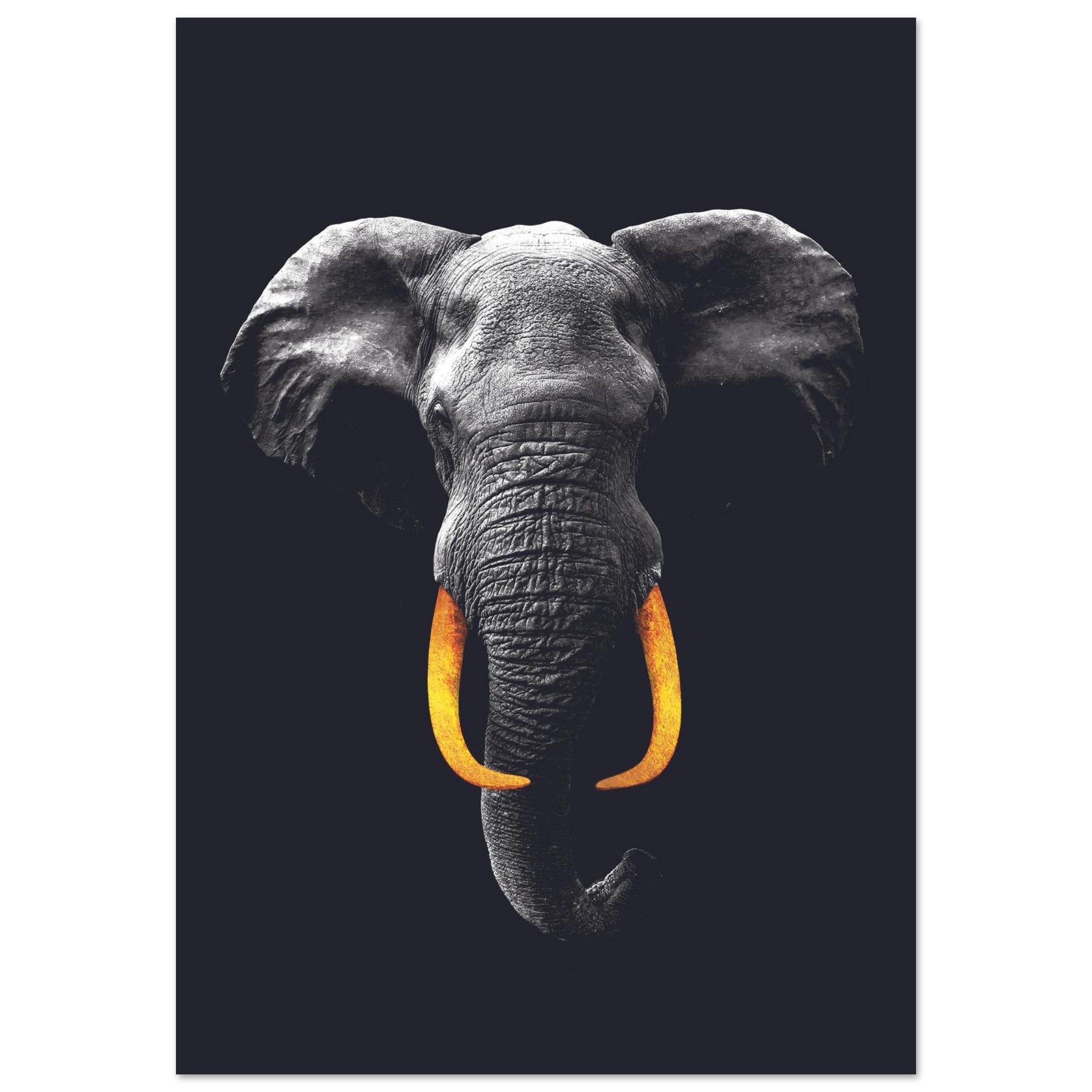 a8424dbb-22f5-4ab8-b9bf-0dce74ef1bb9