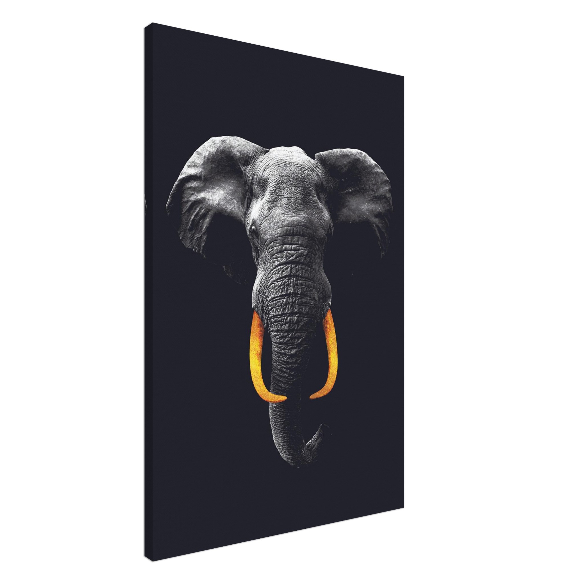 b4a58400-3f87-4dee-833d-1617ca136481