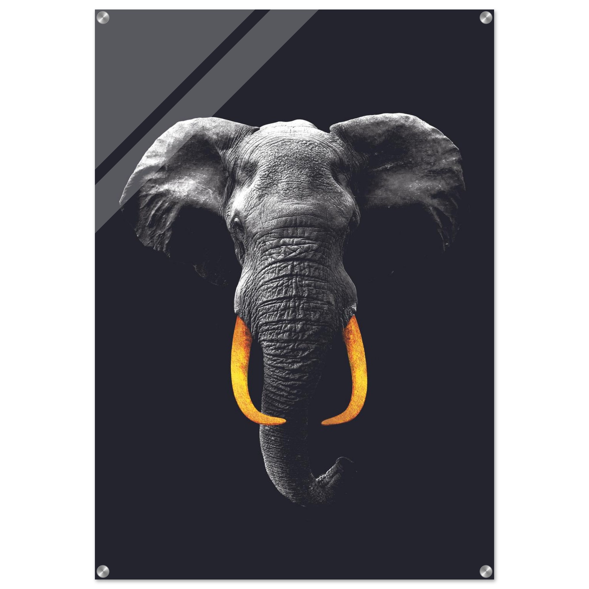 df1f318f-78ef-4fe5-b3fb-5ef083dc286b