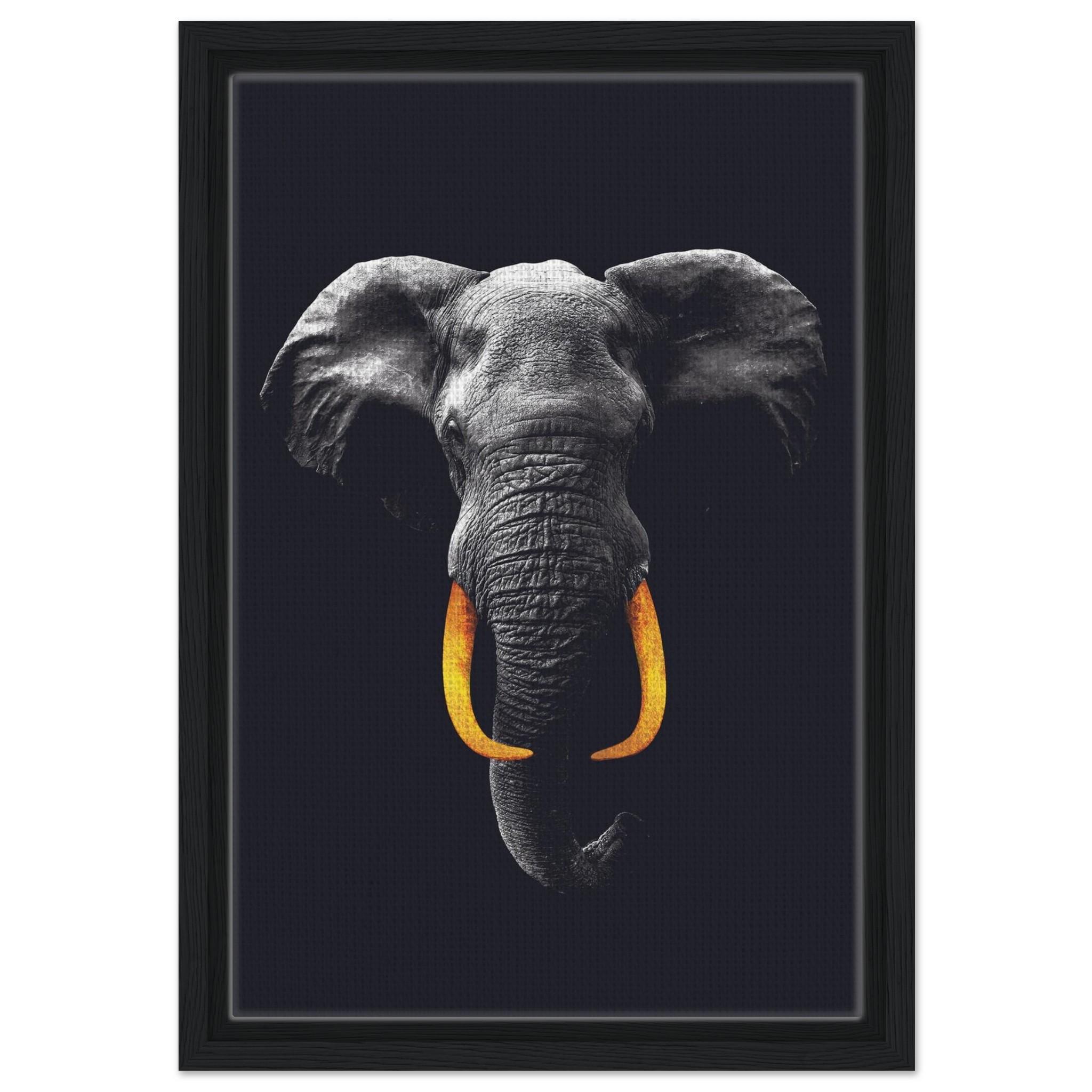 f5545e0e-e215-4359-90d6-dc22dee413d0