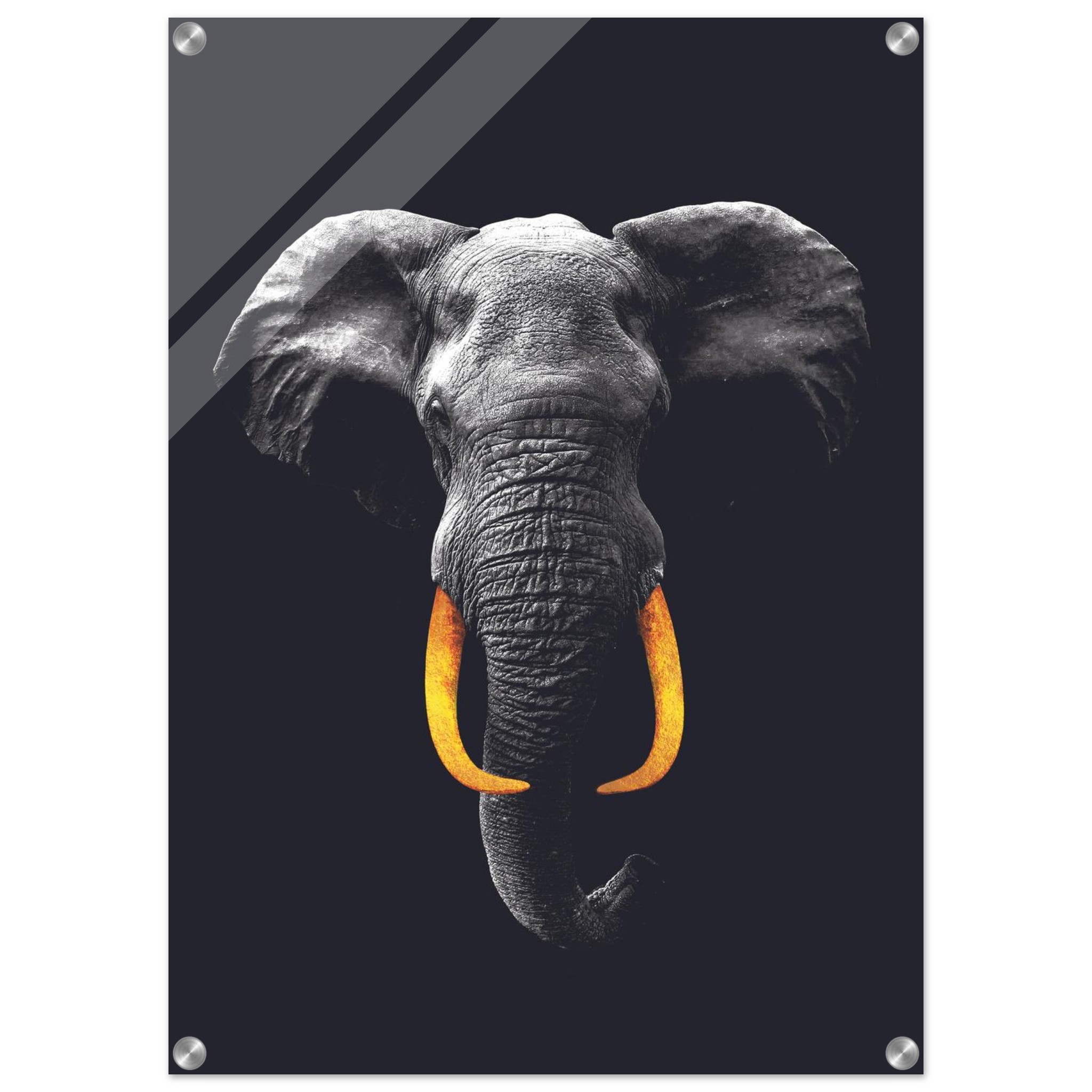 f6bb5943-c071-465d-9828-36e130a64a5e